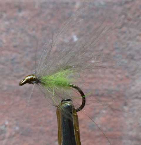 BZ CDC Fly #5 0011.JPG