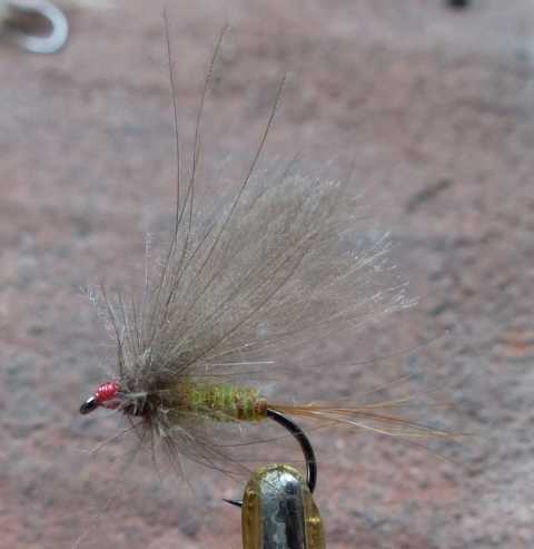BZ CDC Fly #6 0051.JPG