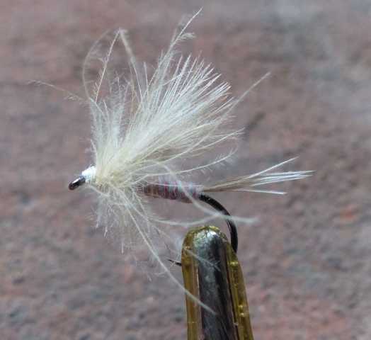 BZ CDC Fly #7 0081.JPG