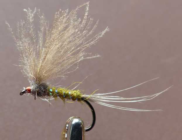 BZ CDC Fly #8 0031.JPG
