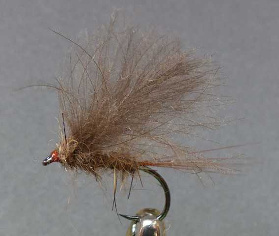 BZ CDC Fly #9 0081.JPG