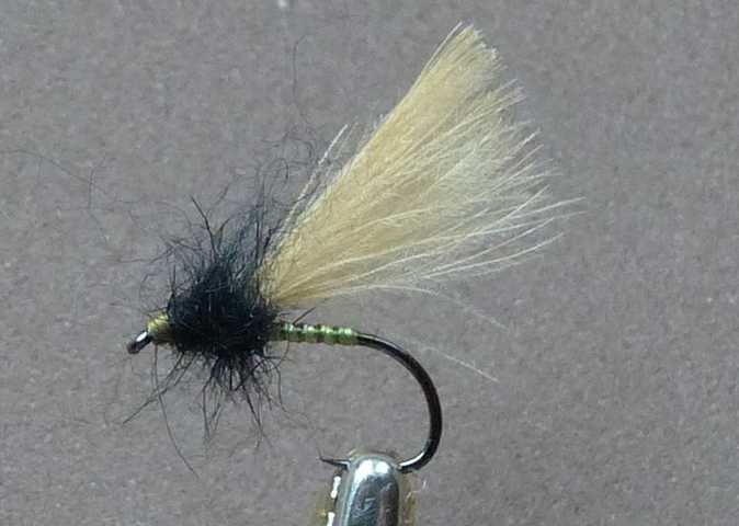 BZ CDC Fly #10 0011.JPG