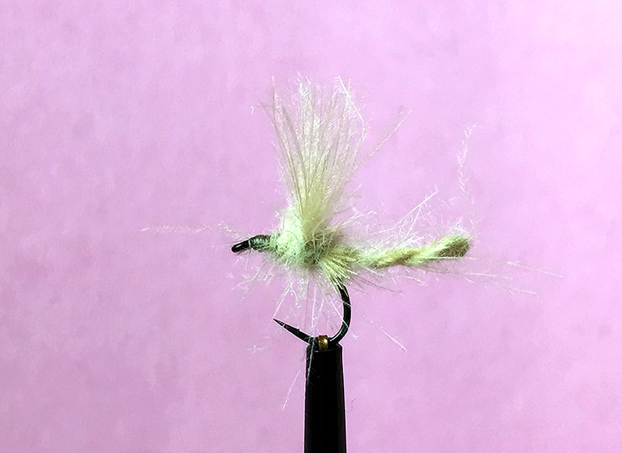 Foto 21.11.15 23 44 28_kl.jpg