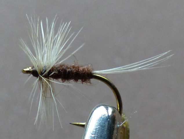 Minimalistische DryFly 0041.JPG