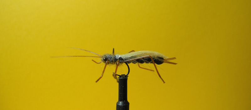 DSCN3327.jpg