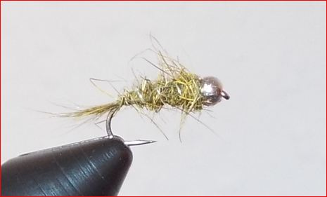 Hare Tungsten.JPG