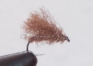 Rackelhanen dunkel.JPG