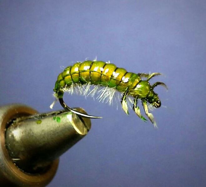 Handschuh Caddis #12