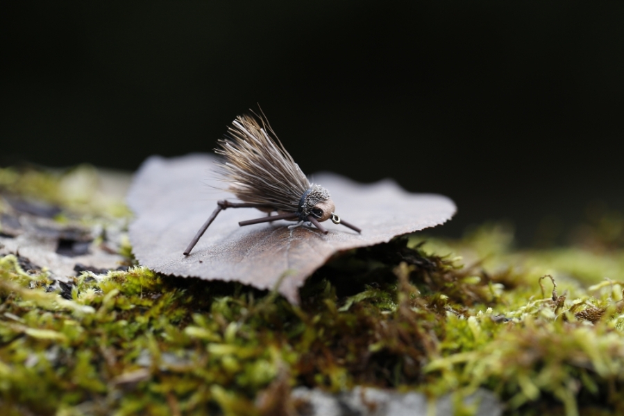 Charlie Boy Hopper.jpg