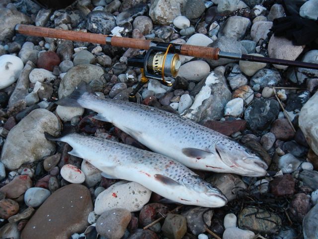 Ausbeute nach ca. 40min. am Wasser. Mit der Fliege wäre es uns lieber gewesen.