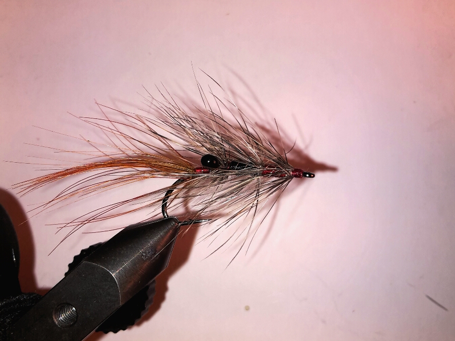 2016-01-06 21.19.21.jpg