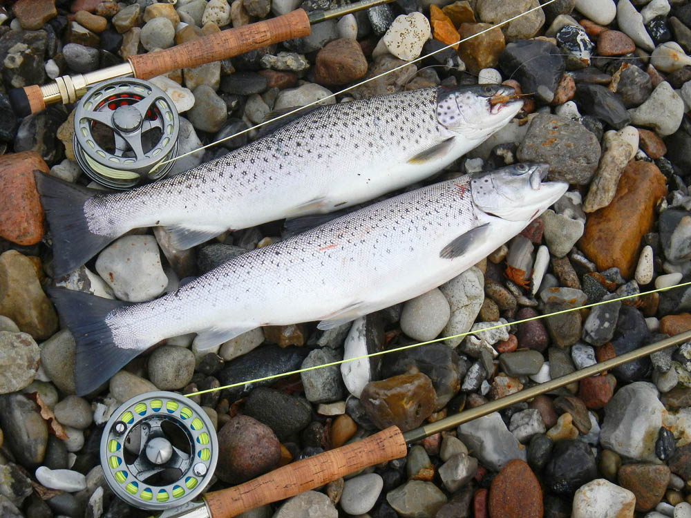 Gelungener Abschluss.