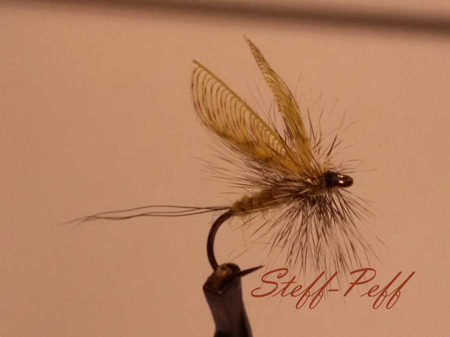 20160124_Wally Wing Mayfly_2.jpg