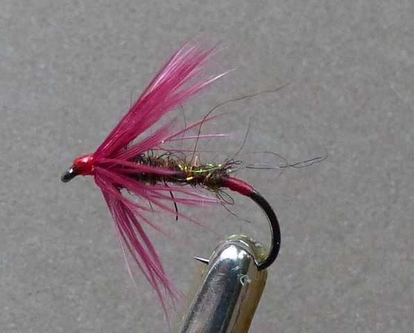 Claret Hackle-Wet 0031.JPG