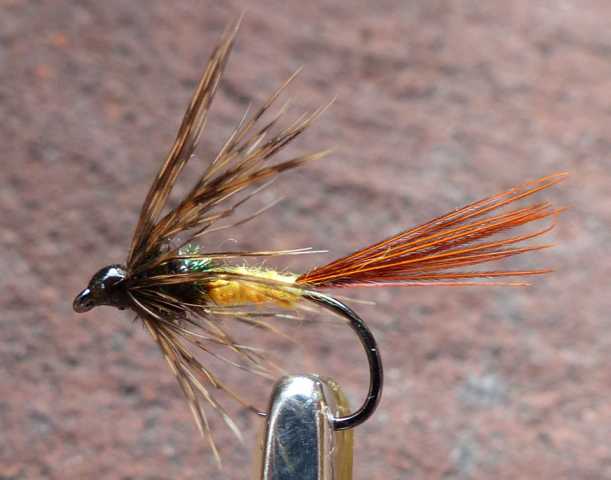 Soft Hackle 0102.JPG
