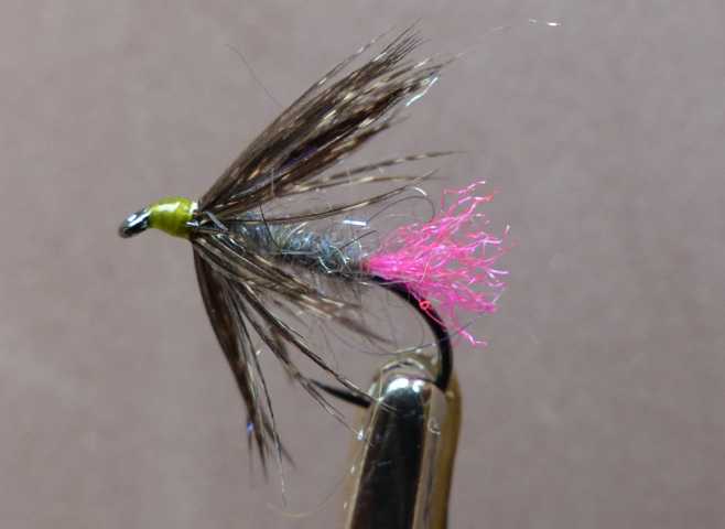 Soft Hackle 0121.JPG
