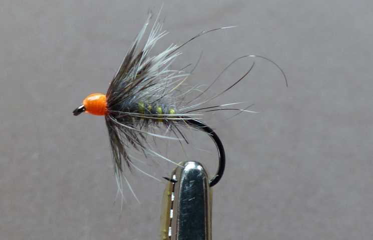 Soft Hackle 0141.JPG