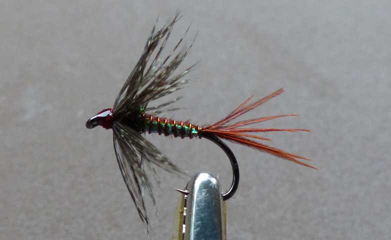 Soft Hackle 0171.JPG