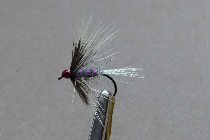 Soft Hackle 0201.JPG