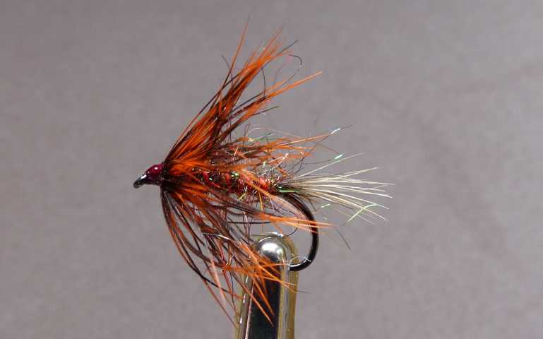 Spectra Wet 0051.JPG