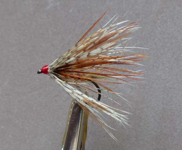 Spectra Wet 0081.JPG