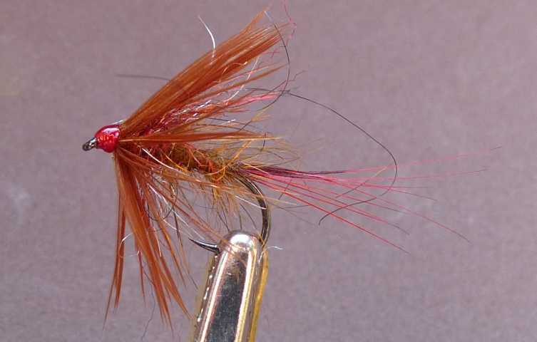 Wet Fly # 0021.JPG