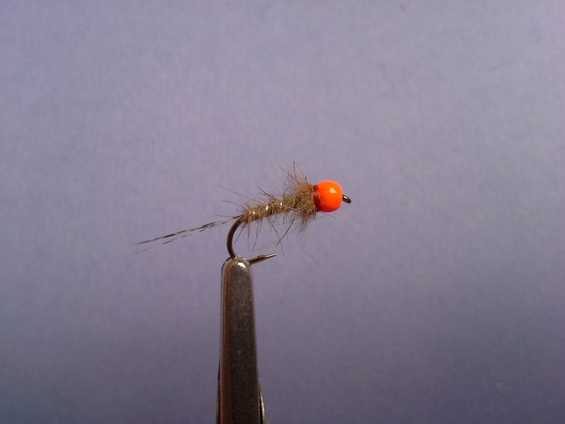 modif.hare's ear oran. #14