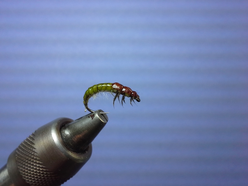 Mindel Latex Hydrops. #12er Fulling Mill