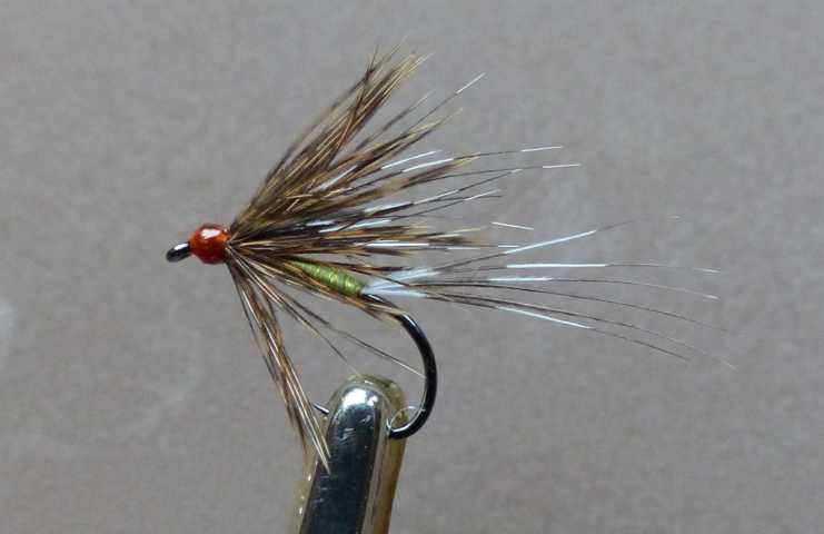 Wet Fly # 0031.JPG