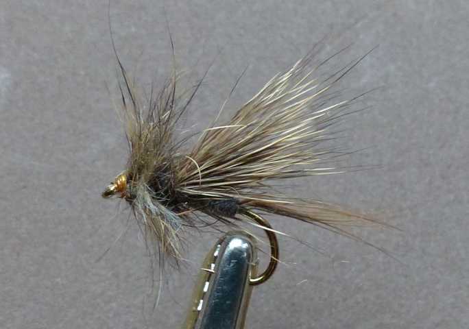 Kreative Rehhaar Variationen 0051.JPG