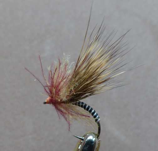 Kreative Rehhaar Variationen 0091.JPG