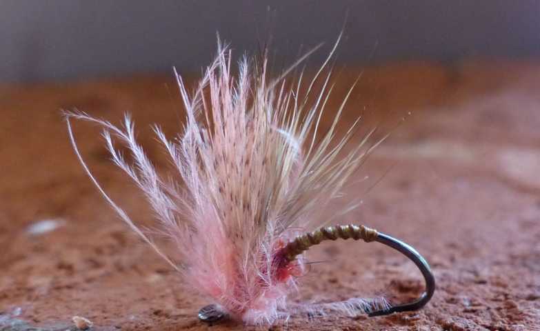 Kreative Rehhaar Variationen 0131.JPG