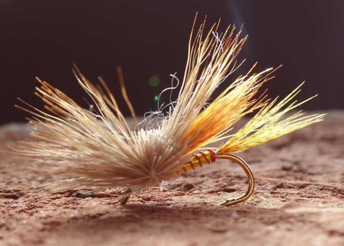 Kreative Rehhaar Variationen 0151.JPG