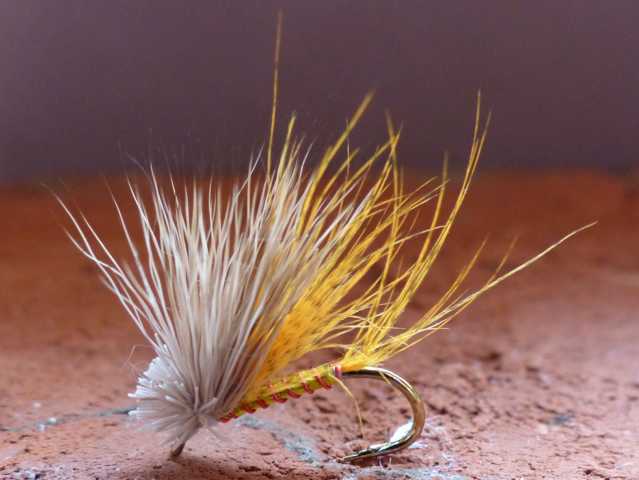 Kreative Rehhaar Variationen 0161.JPG