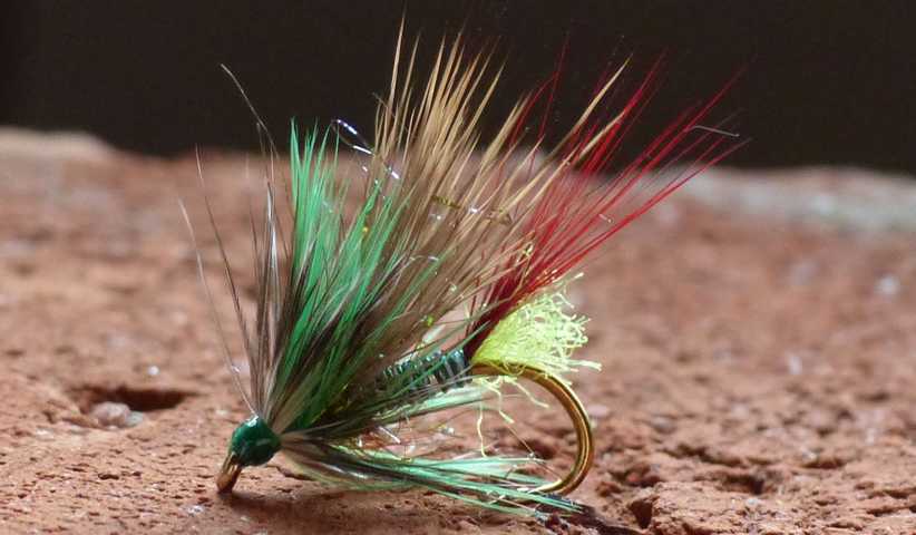 Kreative Rehhaar Variationen 0171.JPG