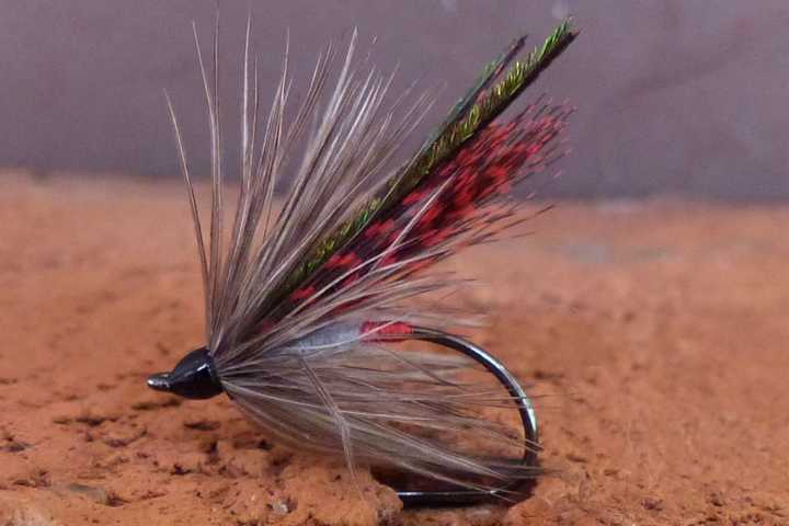 Wet Fly Variationen 0091.JPG