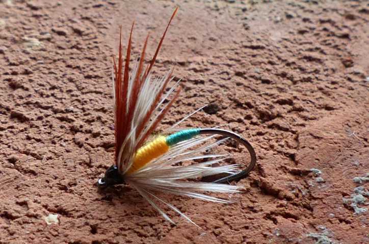 Wet Fly Variationen 0101.JPG
