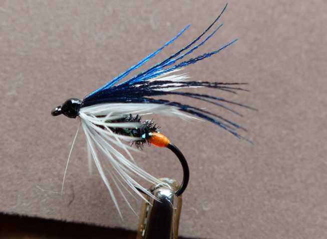 Wet Fly Variationen 0111.JPG