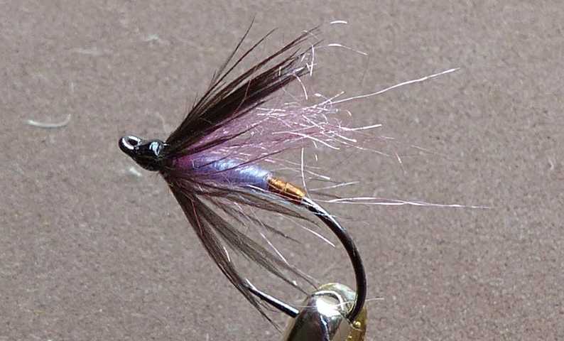 Wet Fly Variationen 0121.JPG