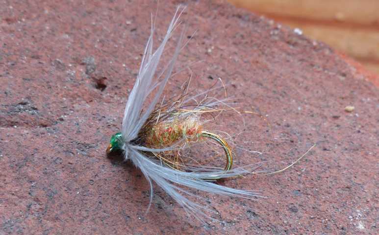Soft Hackle Variationen 0011.JPG