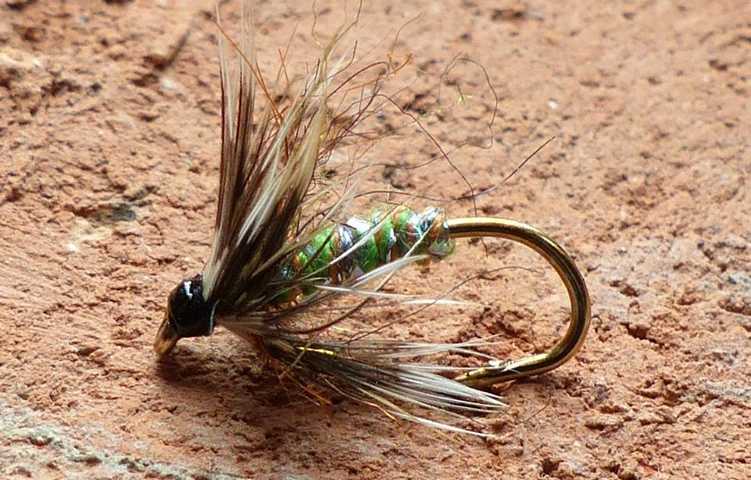 Wet Fly Variationen 0131.JPG