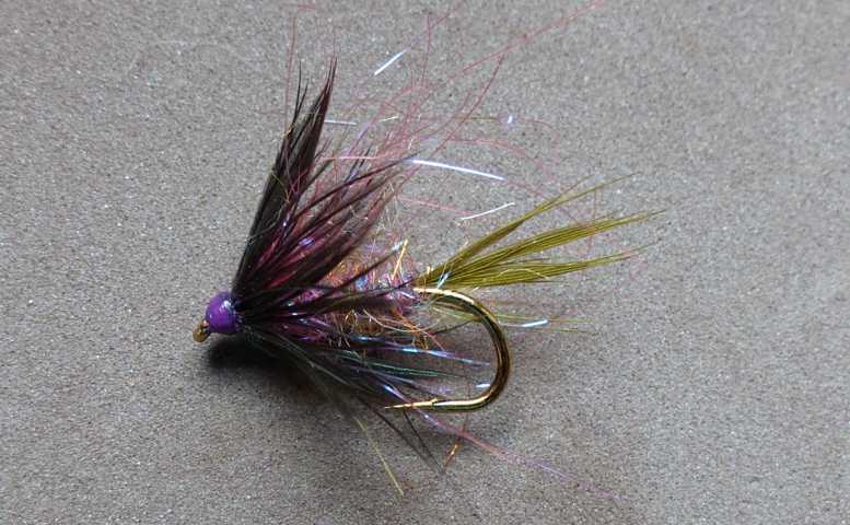 Wet Fly Variationen 0141.JPG