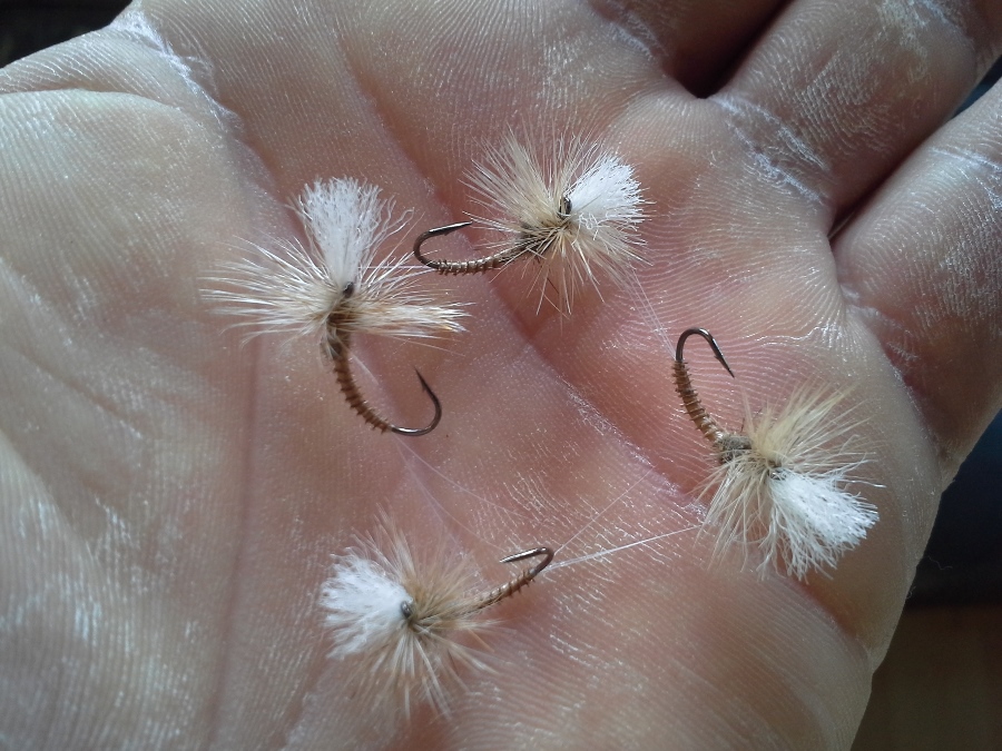 Fallschirmjäger #12