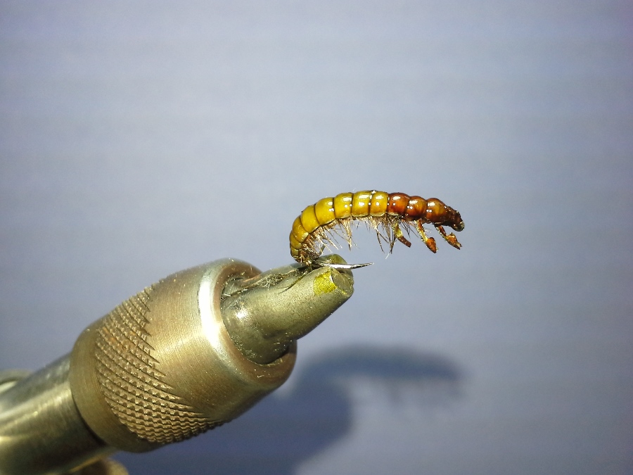 und noch ne Larve #12