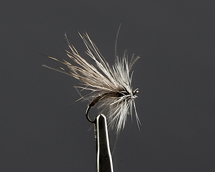 Reehaar-cdc Emerger.jpg