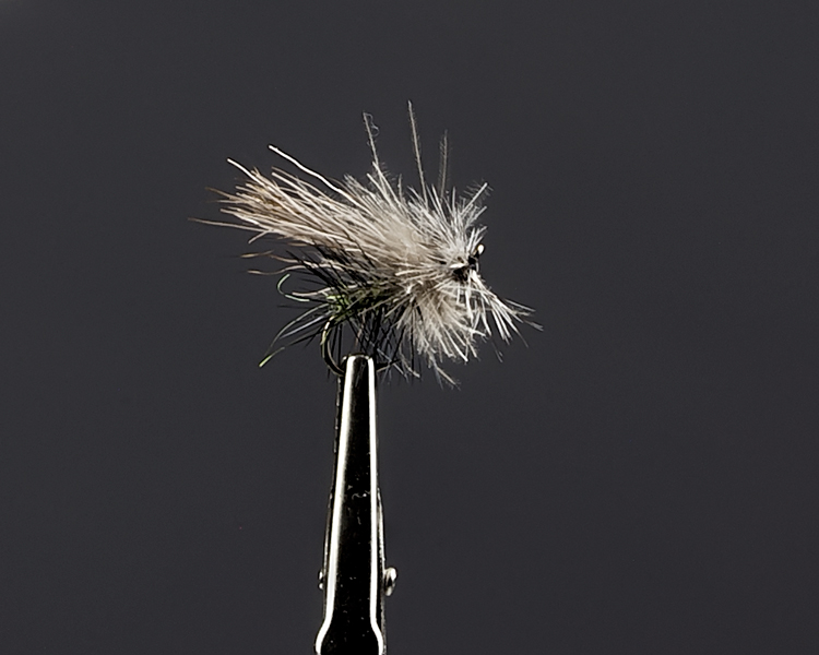 Reehaar-cdc Mix Sedge.jpg