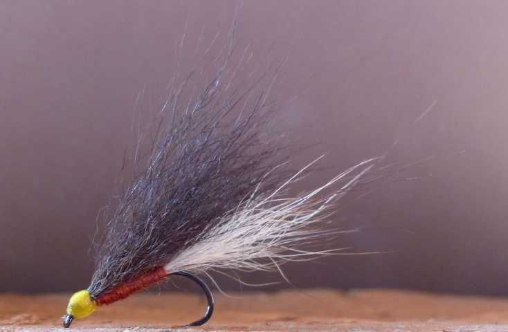 Streamer Variationen 0010.JPG