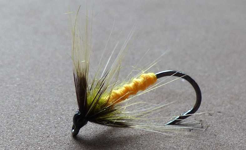 Soft Hackle Variationen 0051.JPG