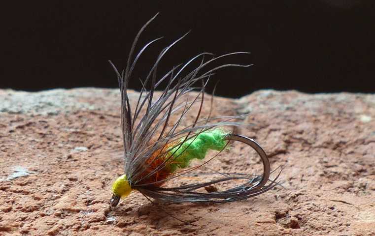 Soft Hackle Variationen 0061.JPG