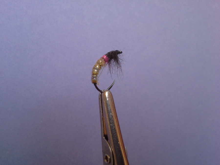 UV Czech #14